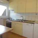 伽尼艺术公寓和酒店 公寓式酒店 采尔马特