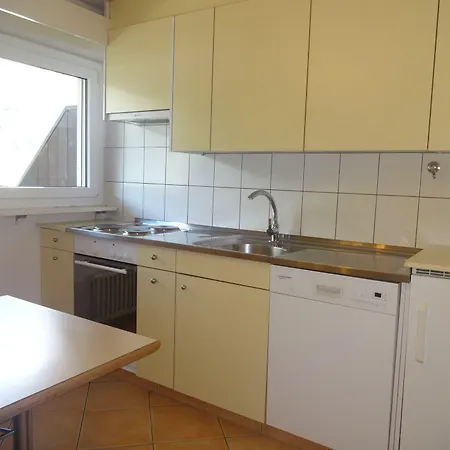 아티스트 앤 가르니 아파트호텔 체르마트