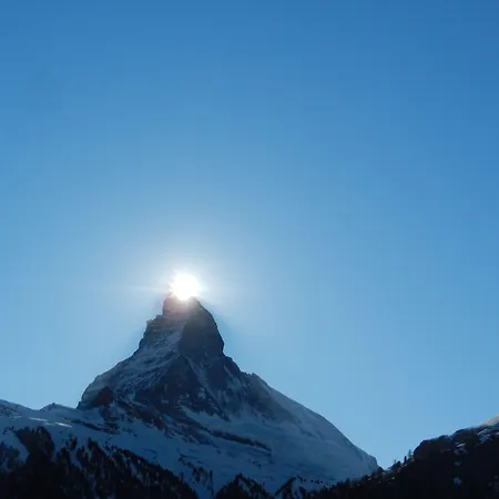 아파트호텔 아티스트 앤 가르니
