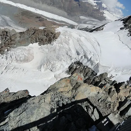 아티스트 앤 가르니