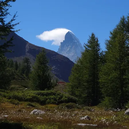 아파트호텔 아티스트 앤 가르니