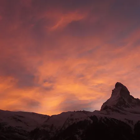 아티스트 앤 가르니