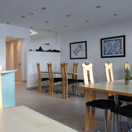 아티스트 앤 가르니