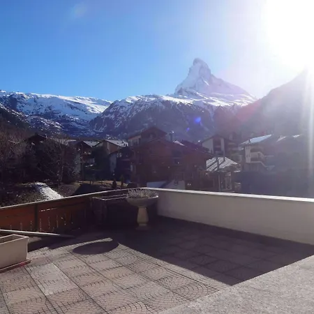 아티스트 앤 가르니