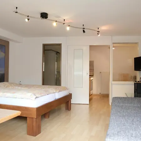 아티스트 앤 가르니 3*